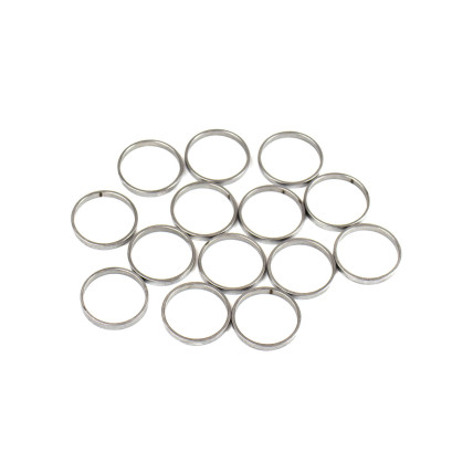 Piston Ring Bosch Rexroth R909831889 SKS
