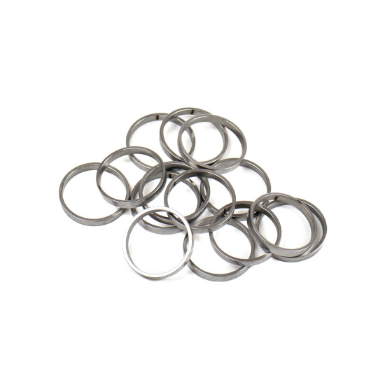 Piston Ring Bosch Rexroth R909831889 SKS