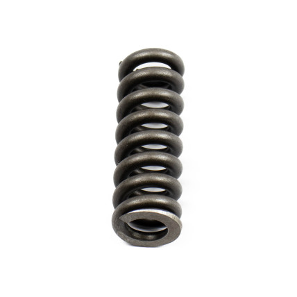Spring for Center Pin Bosch Rexroth R902027353 SKS