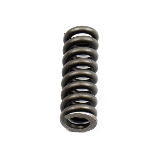 Spring for Center Pin Bosch Rexroth R902027353 SKS