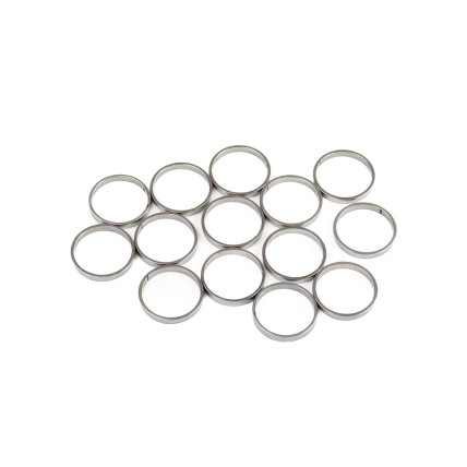 Piston Ring Bosch Rexroth R909831891 SKS