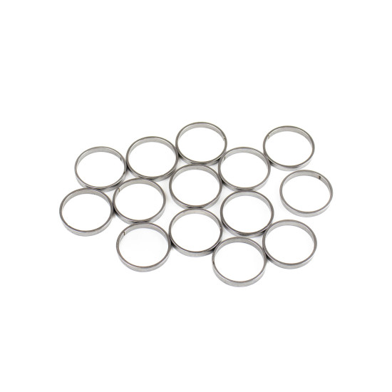 Piston Ring Bosch Rexroth R909831891 SKS