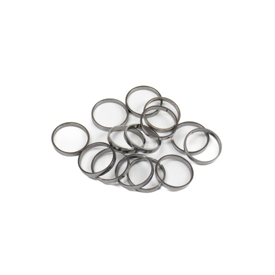 Piston Ring Bosch Rexroth R909831891 SKS