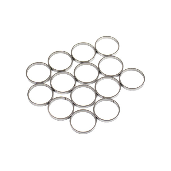 Piston Ring Bosch Rexroth R909831892 SKS