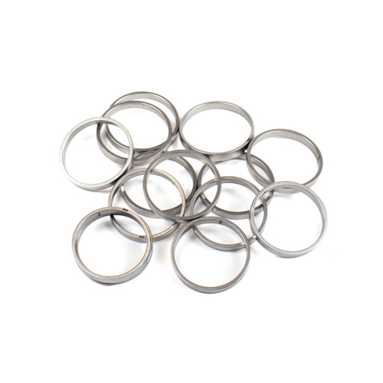 Piston Ring Bosch Rexroth R909831892 SKS