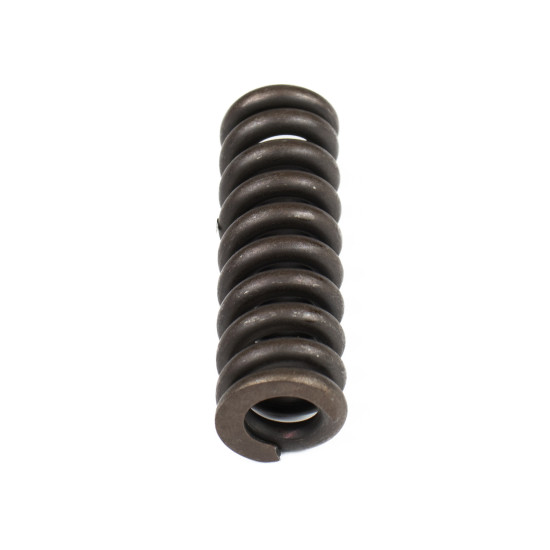 Spring for Center Pin Bosch Rexroth R902028820 SKS