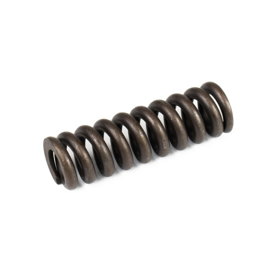 Spring for Center Pin Bosch Rexroth R902028820 SKS