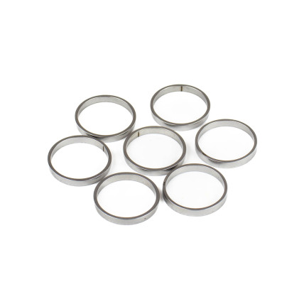 Piston Ring Bosch Rexroth R909831894 SKS
