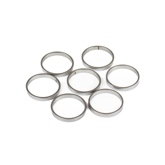 Piston Ring Bosch Rexroth R909831894 SKS