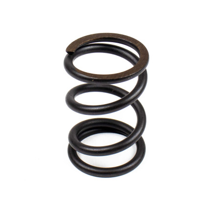 Muelle del rotor Bosch Rexroth LSP0156 SKS