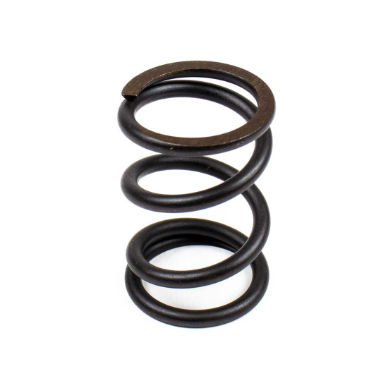 Muelle del rotor Bosch Rexroth LSP0156 SKS