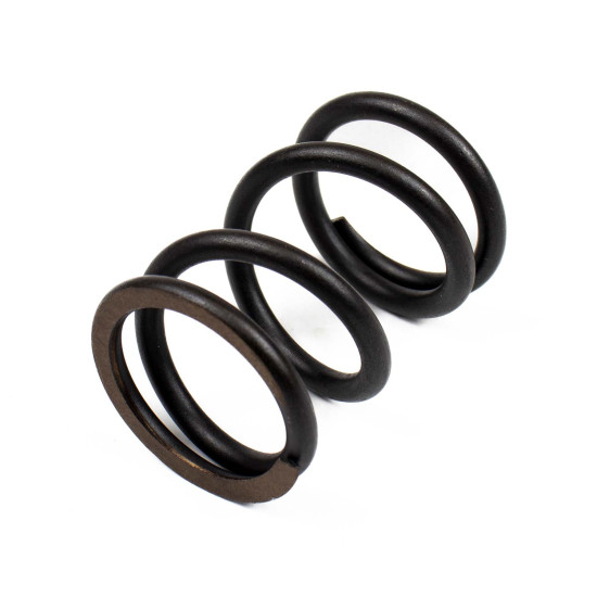 Muelle del rotor Bosch Rexroth LSP0156 SKS