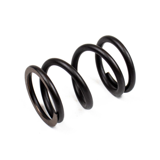 Muelle del rotor Bosch Rexroth LSP0156 SKS