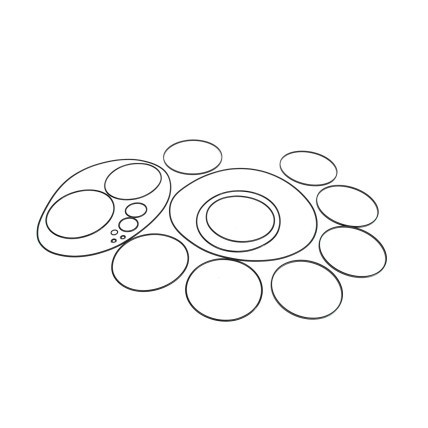 Seal kit Poclain Hydraulic A17451T POCLAIN