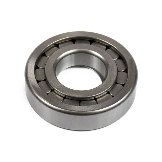 Roller Bearing F-240029.06.NUP AFM