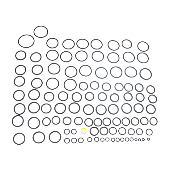 Main control valve Seal kit JCB 25/222492 WYS