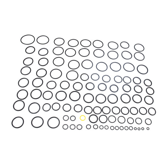 Main control valve Seal kit JCB 25/222492 WYS