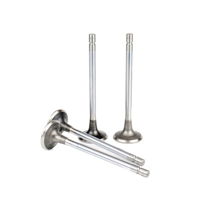 Exhaust Valve Isuzu 1876183530 ISP