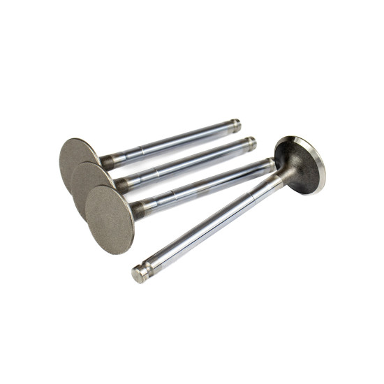 Exhaust Valve Isuzu 1876183450 ISP