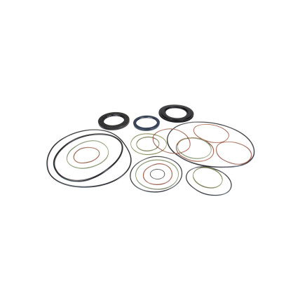 Seal kit motor Poclain Hydraulic MS11, MSE11 2 Speed AFM
