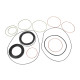Seal kit motor Poclain Hydraulic MS25, MSE25 1 Speed AFM