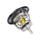 Thermostat Isuzu 1876184300 ISP