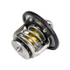 Thermostat Isuzu 1876184320 ISP