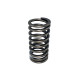 Valve Spring Isuzu 8943958851 Genuine