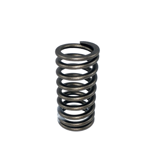 Valve Spring Isuzu 8973528880 Genuine