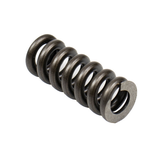 Spring for Center Pin Bosch Rexroth R902028810 SKS