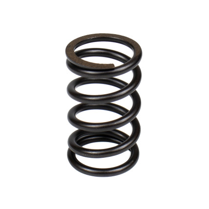 Spring of Rotor Bosch Rexroth R910933409 SKS