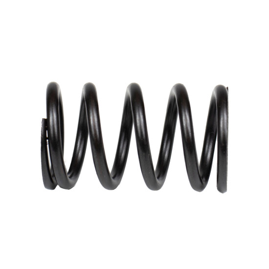 Spring of Rotor Bosch Rexroth R910933409 SKS