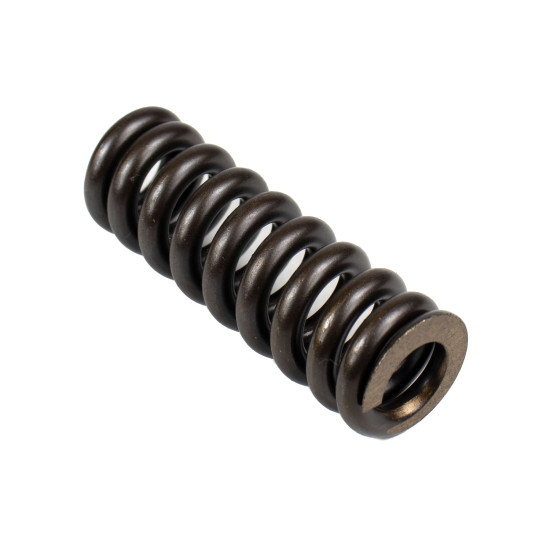 Spring for Center Pin Bosch Rexroth R902018126 SKS