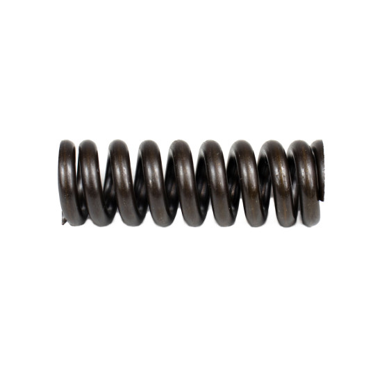 Spring for Center Pin Bosch Rexroth R902018126 SKS