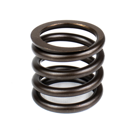 Spring of Rotor Nabtesco 332/E5666 SKS