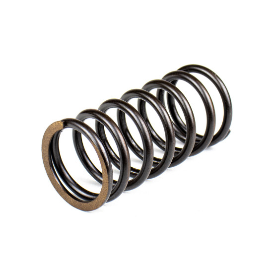Spring of Rotor Vickers 627524 SKS