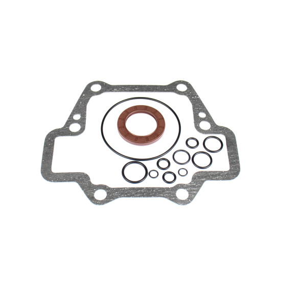 Seal kit pump Vickers 02-102262 SKS