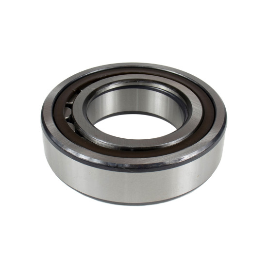 Roller Bearing Bosch Rexroth R909831574 H=31.0 mm SKS