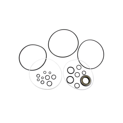 Seal kit motor Volvo 14500160 K1039056 AFM