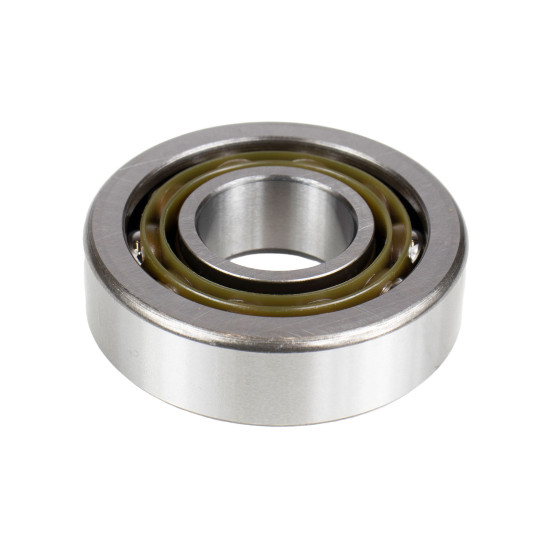 Bearing Bosch Rexroth R913023210 SKS