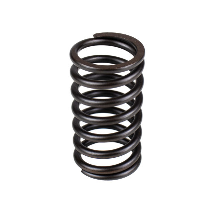 Spring of Rotor Sauer-Danfoss PV45, KRR045, KRL045, BRL28 SKS