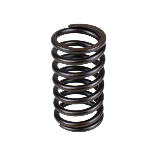 Spring of Rotor Sauer-Danfoss PV45, KRR045, KRL045, BRL28 SKS