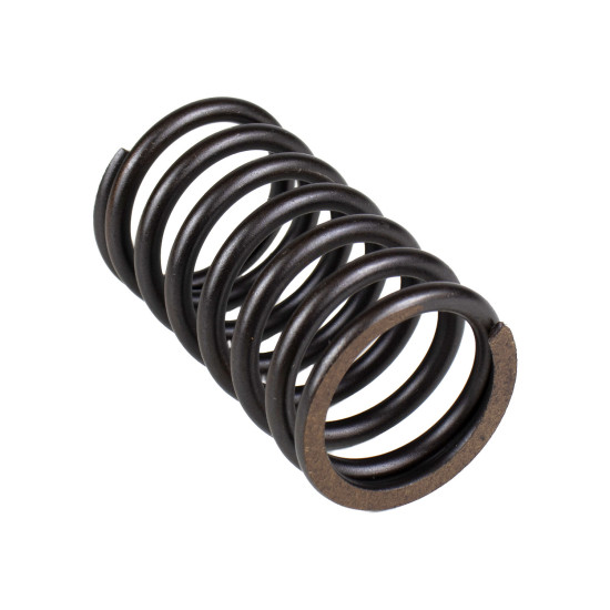 Spring of Rotor Sauer-Danfoss PV45, KRR045, KRL045, BRL28 SKS