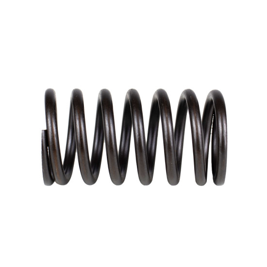 Spring of Rotor Sauer-Danfoss PV45, KRR045, KRL045, BRL28 SKS