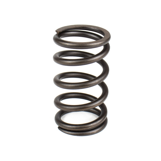 Spring of Rotor Sauer-Danfoss H1P069, H1P078 SKS