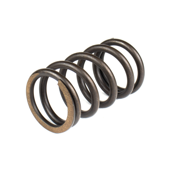 Spring of Rotor Sauer-Danfoss H1P069, H1P078 SKS
