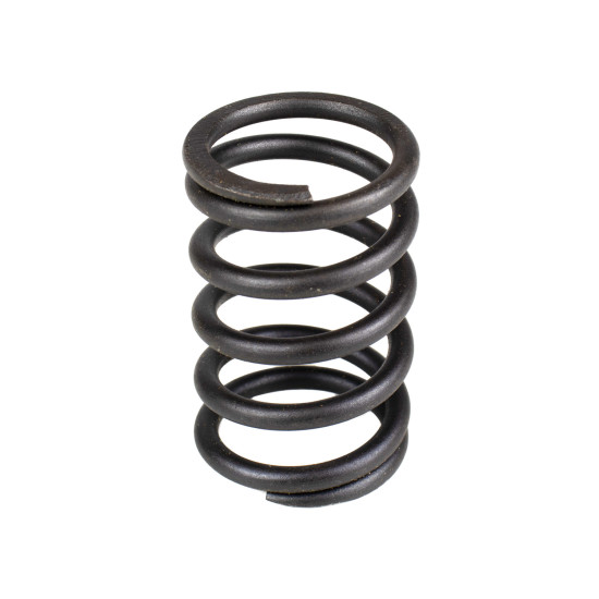 Spring of Rotor Sauer-Danfoss MPV45 SKS