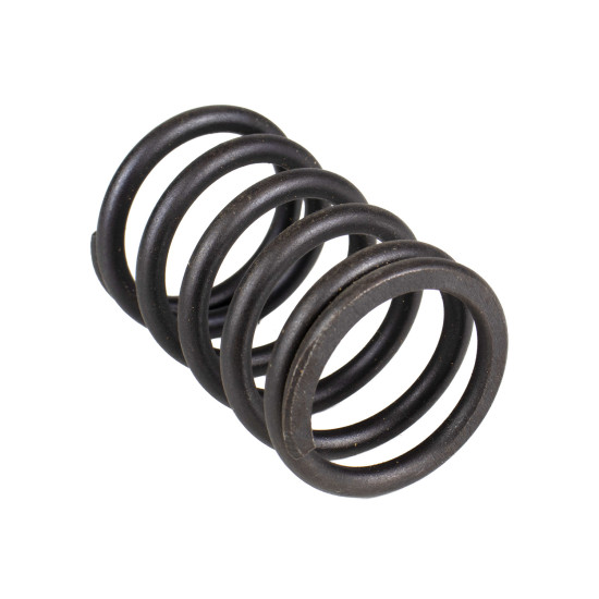 Spring of Rotor Sauer-Danfoss MPV45 SKS