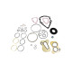 Seal kit motor Sauer-Danfoss 4510184 full A SKS
