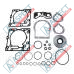 Kit de juntas Sauer-Danfoss 4510066 SKS 55182441